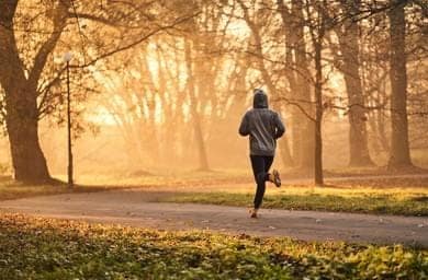 Early morning exercise: The ultimate key to a healthy and productive life whatsapp image 2025 10 17 at 08.27.32 c6d40cc3